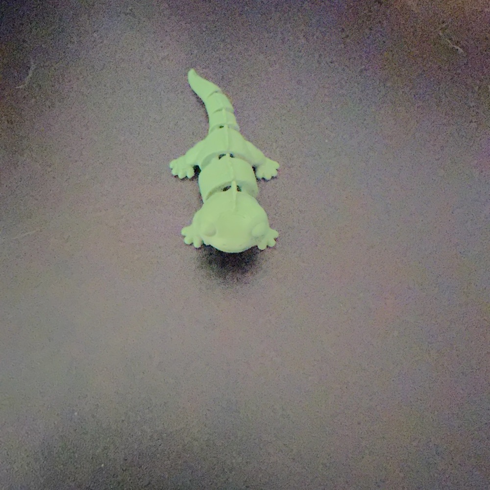 Lizard